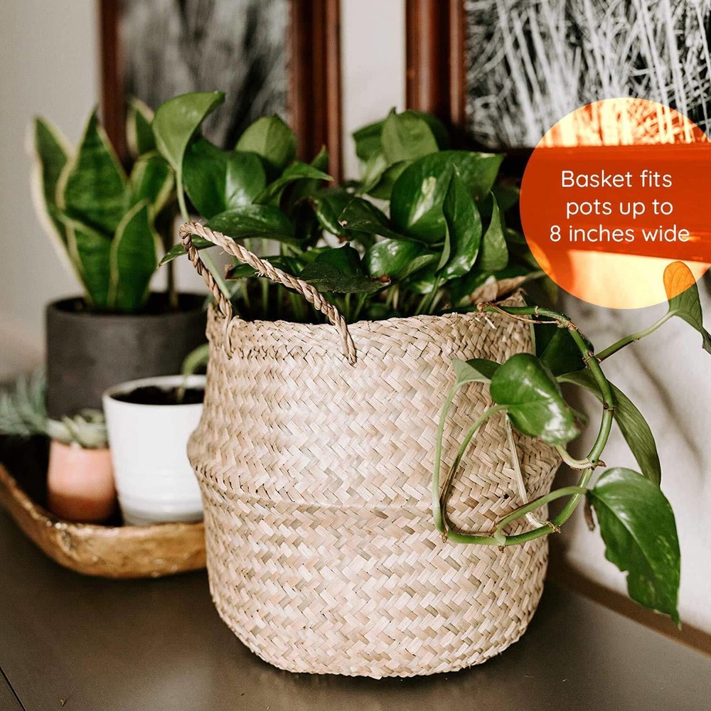 Thirteen Chefs Modern Village Planter Basket 8 Inch Woven Seagrass - Picture 2 of 7